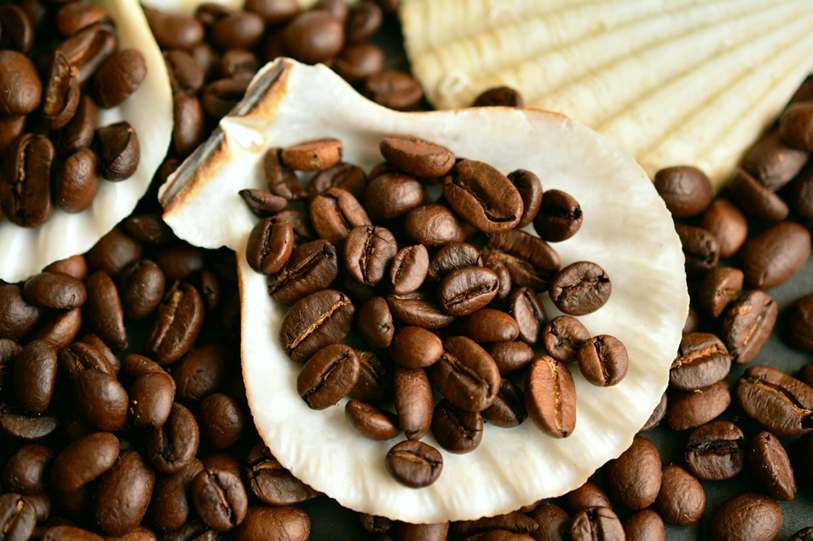 Toalha de Rosto Buettner